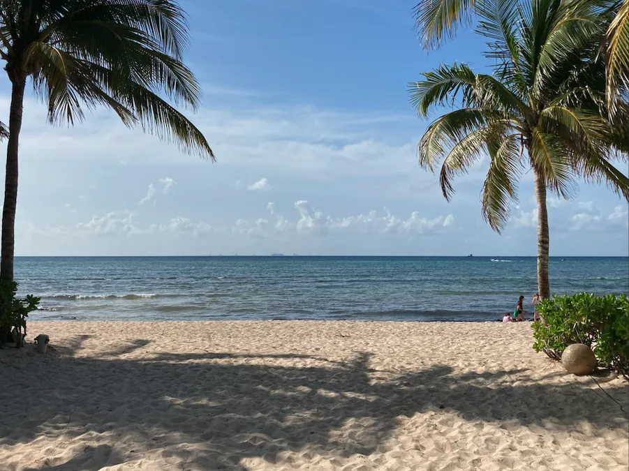 Plage de sable blanc entre deux palmiers face à la mer turquoise