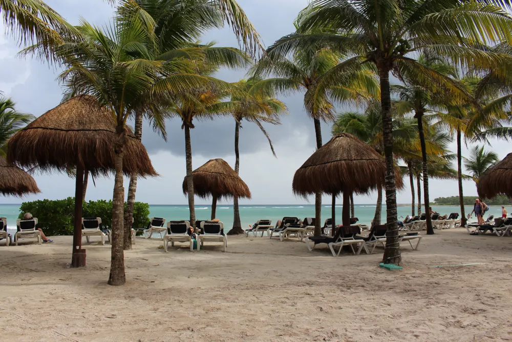 Plage avec palmiers et parasols de paille